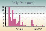Daily Rain Graph Thumbnail